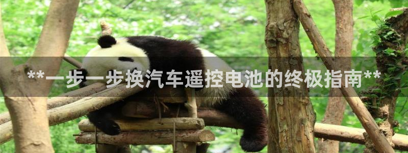优发国际app官网下载安装手机版