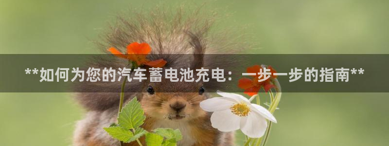 优发国际手机版唯一官网下载