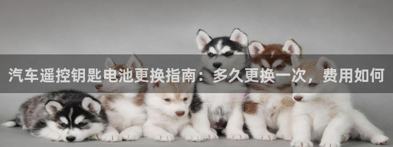 优发国际手机app下载安装