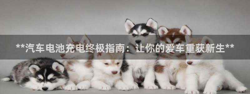 优发国际app