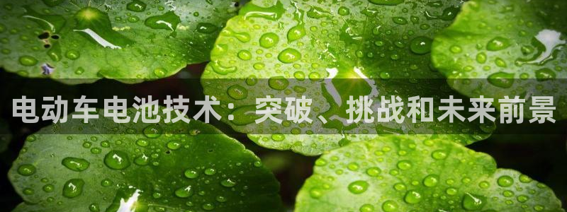 优发国际app