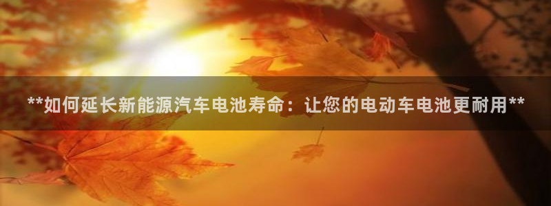 优发国际官网平台