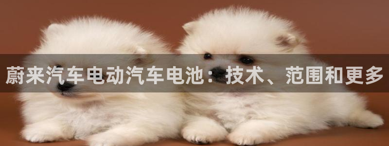 优发国际安卓版下载安装苹果