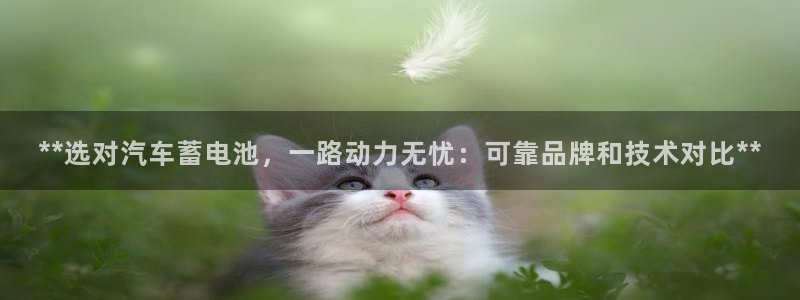 优发国际官网下载手机版