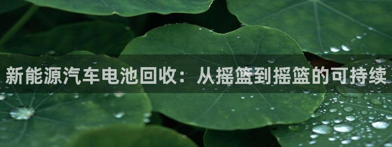 优发国际平台