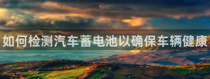 优发国际的官网是什么
