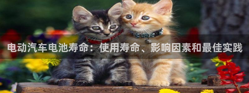 优发国际是合法的吗安全吗
