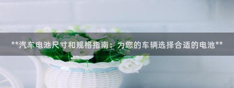优发国际youfa