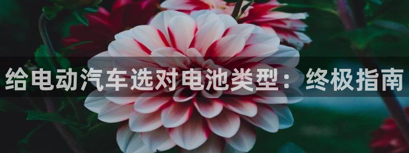 优发国际网官网址是多少