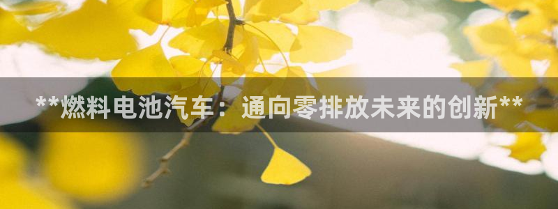 优发国际平台g8
