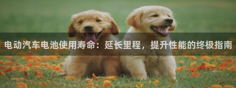优发国际游戏官网