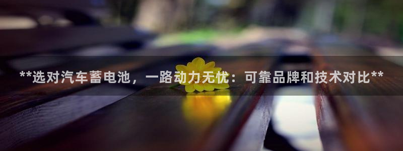 优发国际的官网是什么