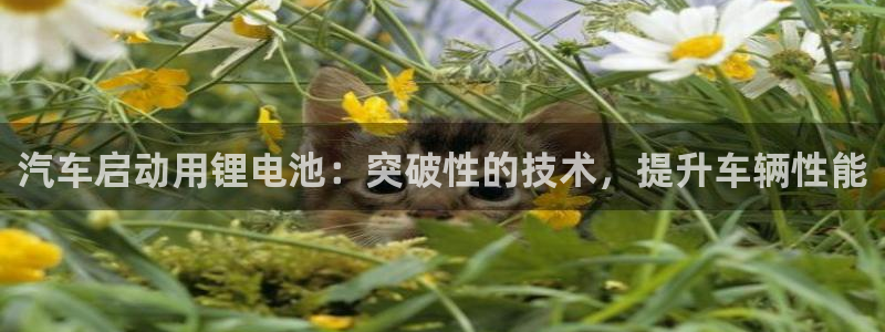优发国际官网下载苹果版