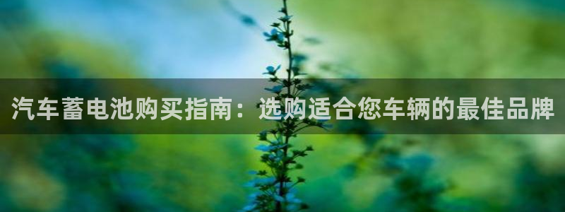 优发国际可以玩吗