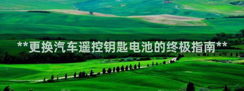 优发国际是大平台吗是真的吗