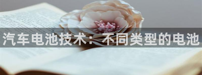 优发国际平台g80