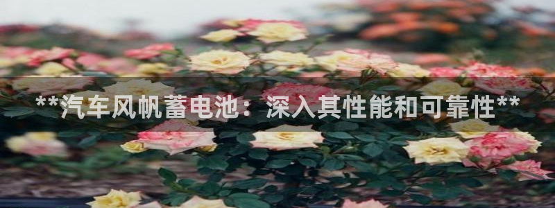 优发国际官方网