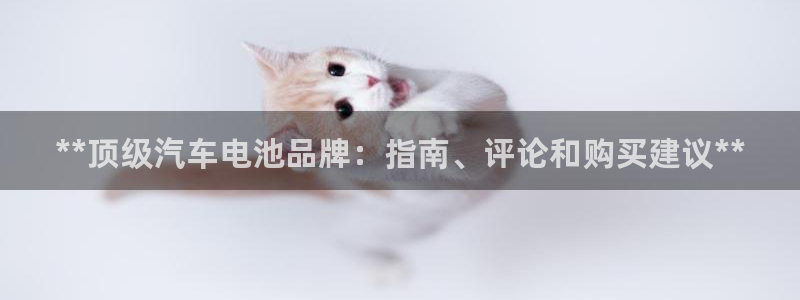优发国际官方网手机版下载