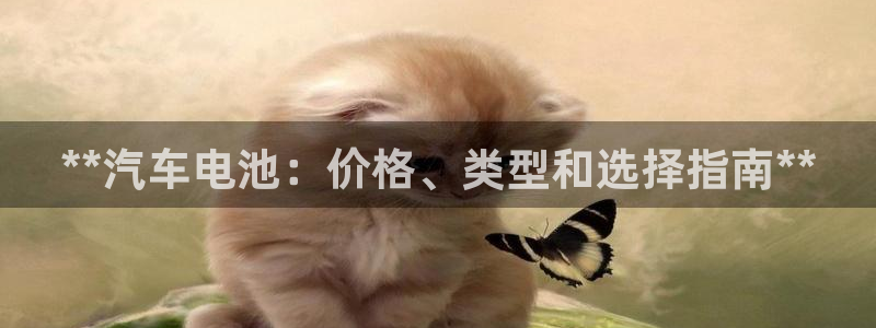 优发国际平台g8怎么样