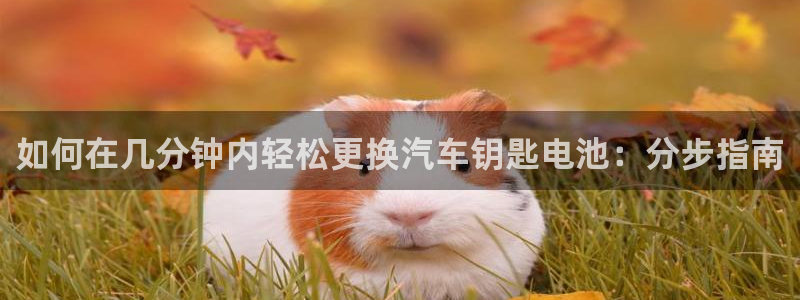 优发国际官网网站登录