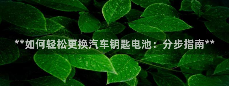 优发国际官网下载安装手机版
