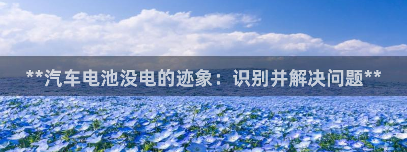 优发国际vip网址