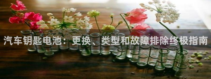优发国际手机app下载安装官网