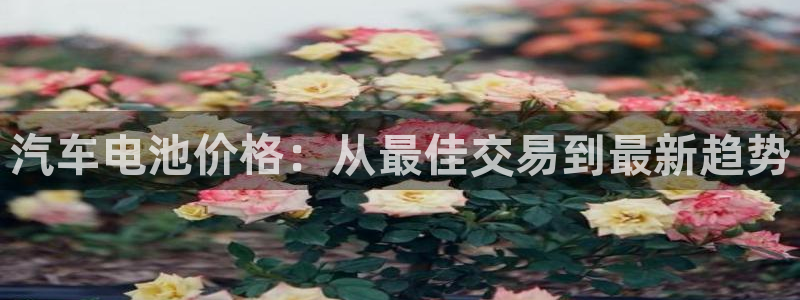 优发国际官方网