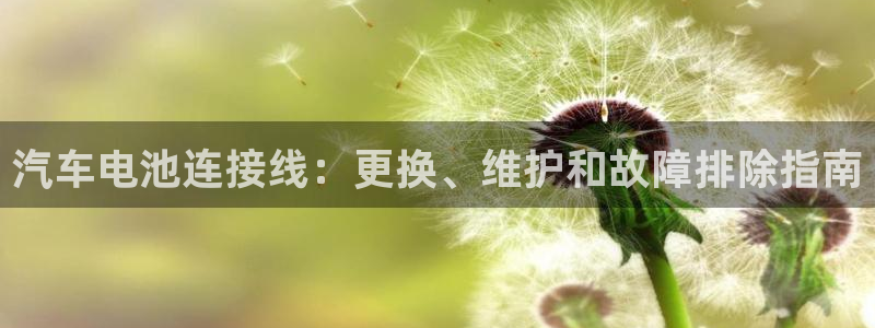 优发国际手机登录下载安装