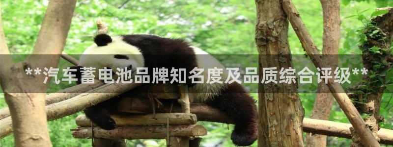 优发国际平台APP