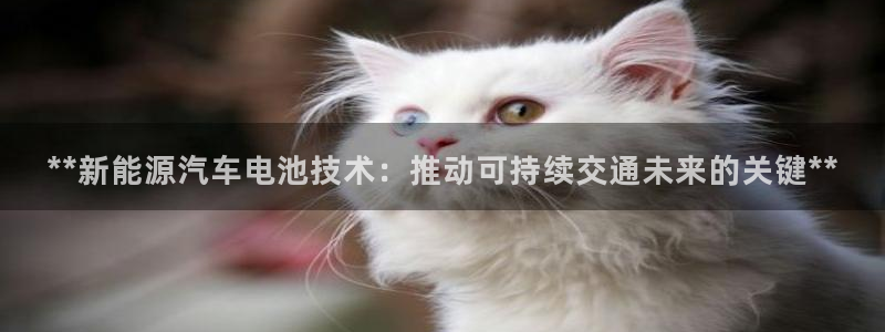 优发国际平台u8