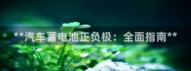 优发国际