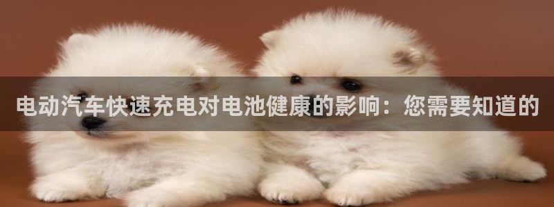 优发娱乐官网地址