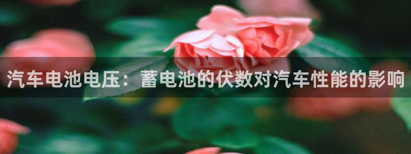 优发国际手机客户端下载官网