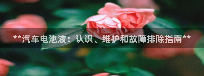 优发国际官网网站