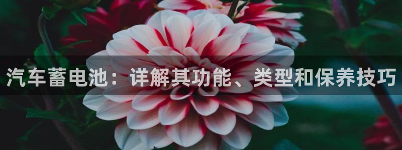 优发国际是合法的吗安全吗