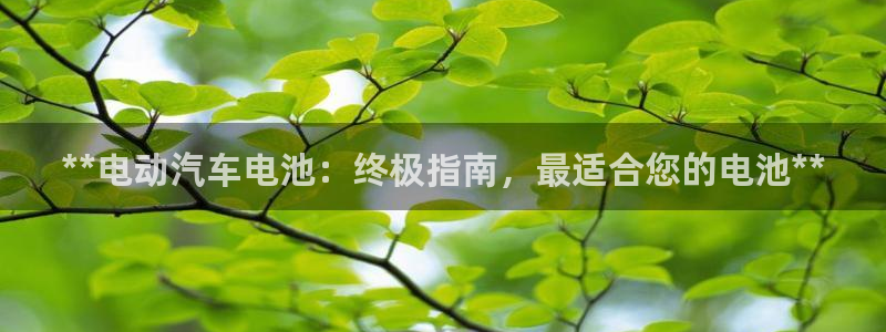 优发国际手机版客户端下载