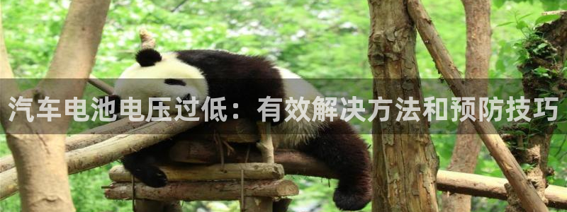 优发国际首页首页登录