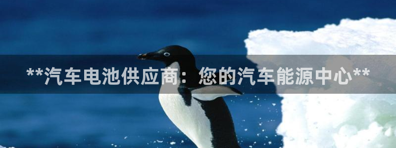 优发国际youfa