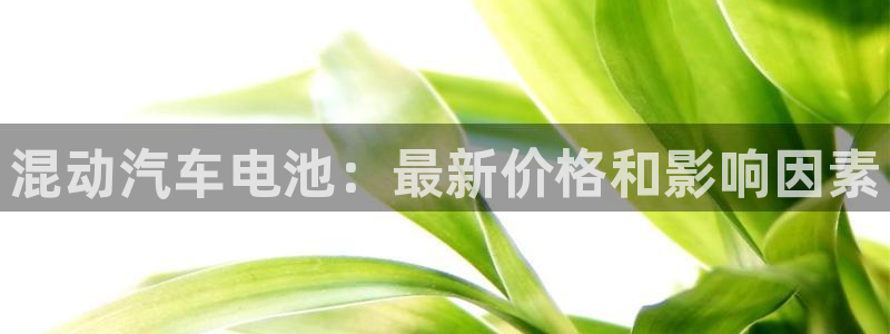 优发国际这个平台怎么样