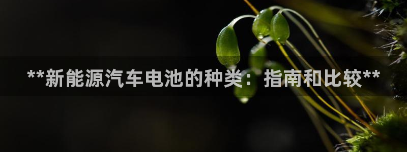 优发国际手机版下载