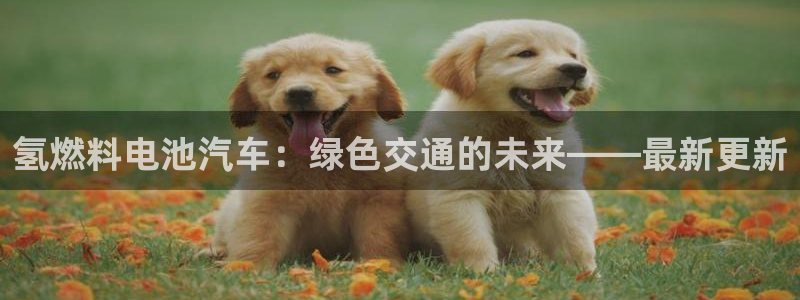优发国际手机app下载安装最新版