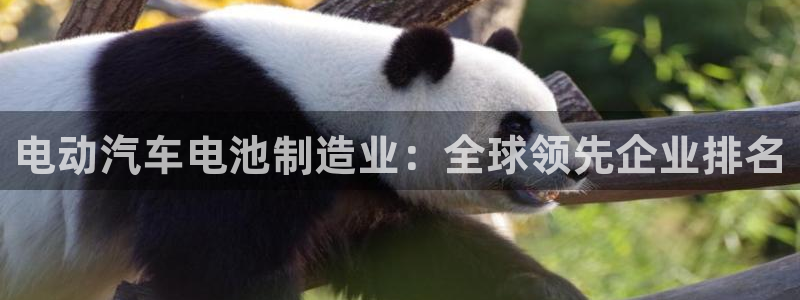 优发国际手机版下载安装