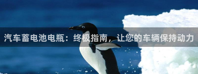 优发国际的网站是