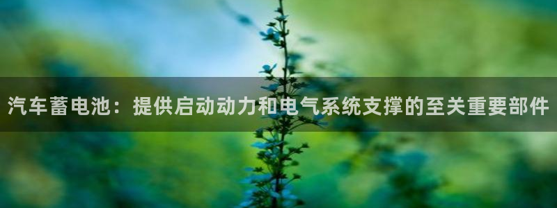 优发国际官网