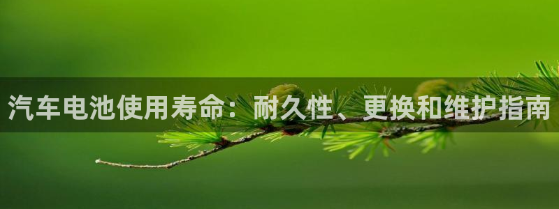 优发国际官网手机版代理