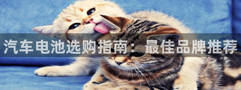 优发国际的官网是什么软件