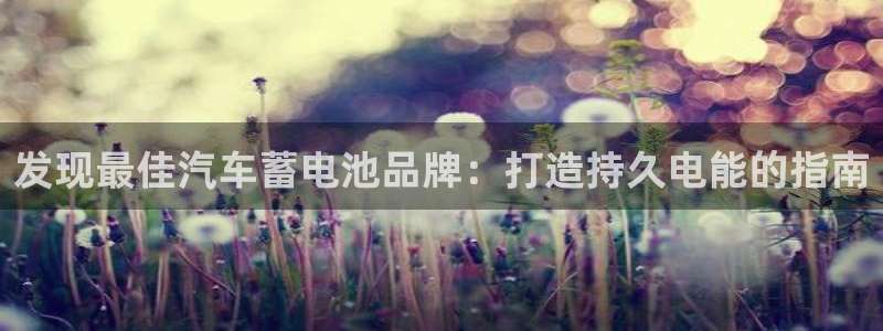 优发国际平台u8是什么软件