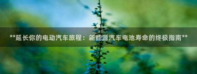 优发国际客服联系方式查询