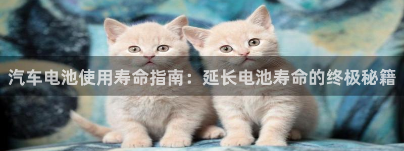 优发国际手机客户端下载安装